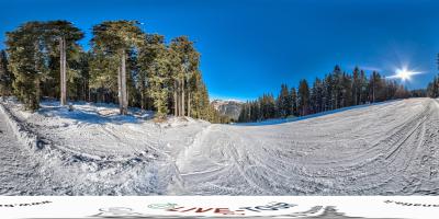 Pista Waldabfahrt - 2°