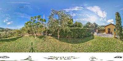 Garden of Olives and Fig