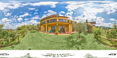 Sun Lawn 2